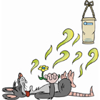 Eliminate Dead Rodent Odors