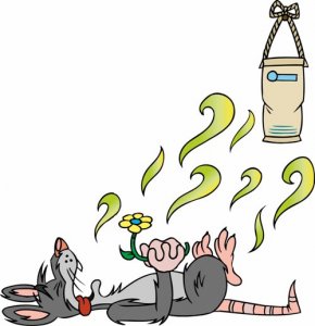 Eliminate Dead Rodent Odors | Remove Dead Mouse Smells | All Natural Safe